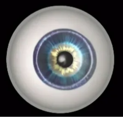 Image for Diabetic Retinopathy